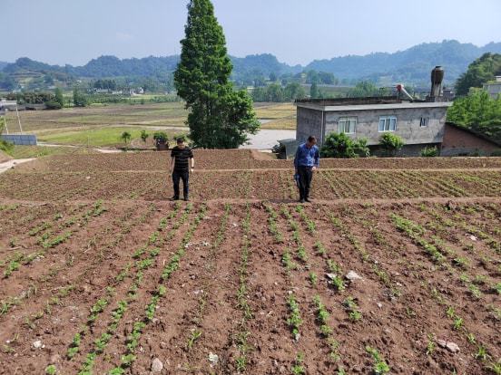 二七区农业农村局新项目推动农业现代化，乡村振兴再添新动力