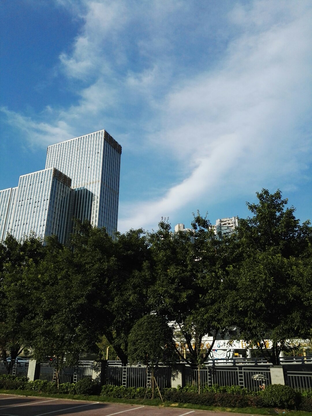 华阳路街道天气预报详解