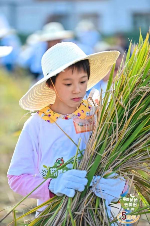 郊区农业农村局推动农业现代化，助力乡村振兴新动态