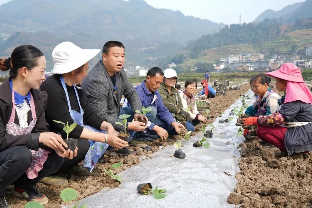 筠连县科技局领导团队最新概述