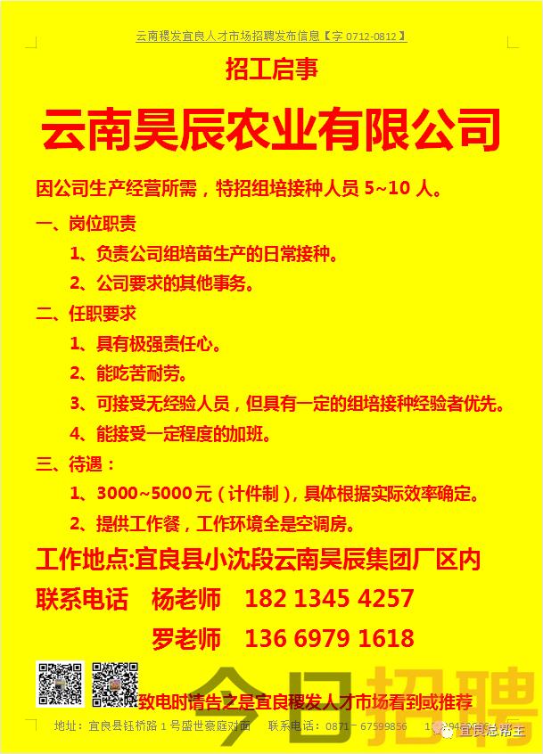 陆良县医疗保障局最新招聘细则详解