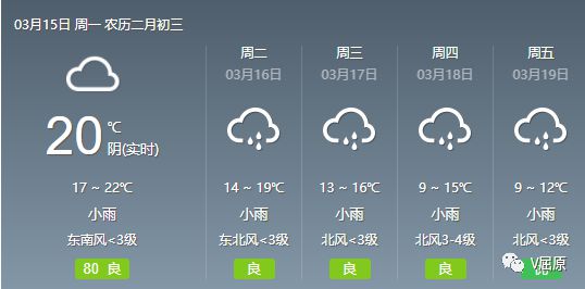 2024年12月13日 第27页