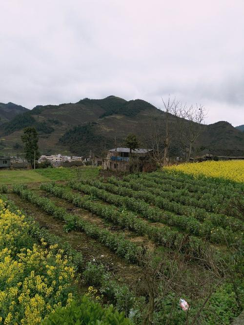 思礼乡天气预报更新通知