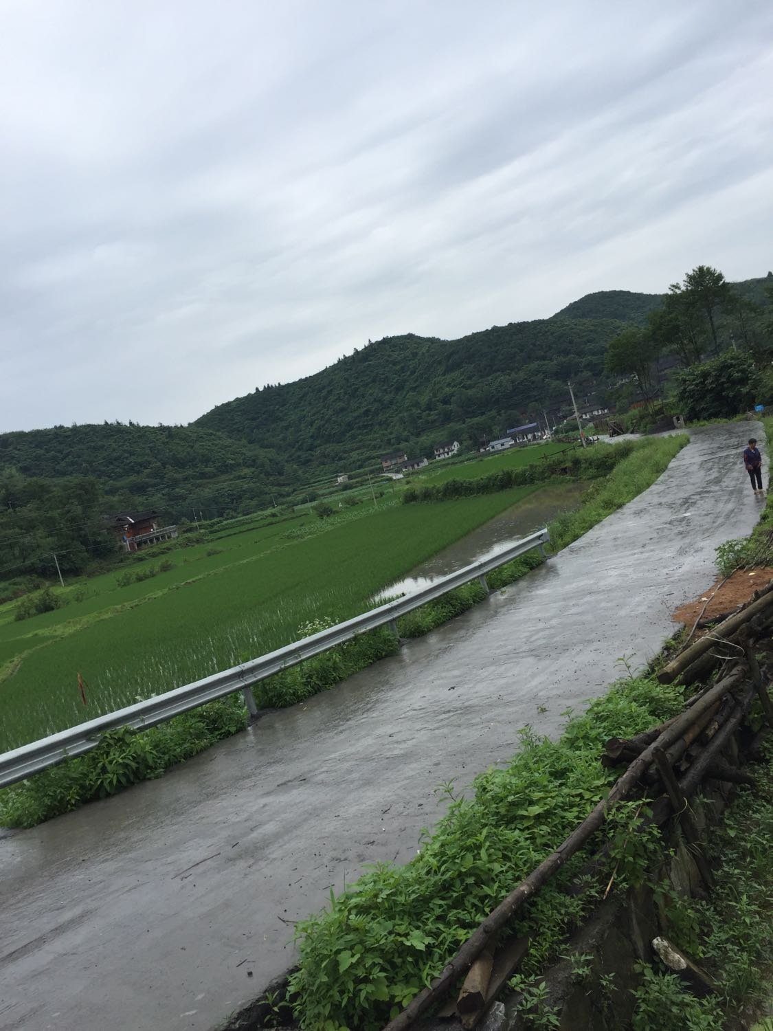 温塘镇天气预报更新通知