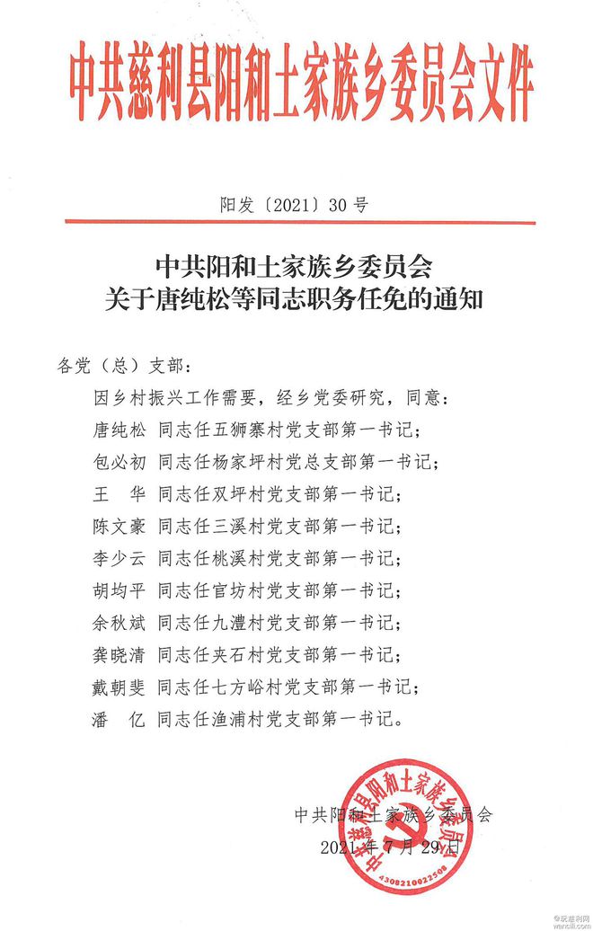 宋家坪村委会人事任命重塑领导团队，村级事务迎来新发展