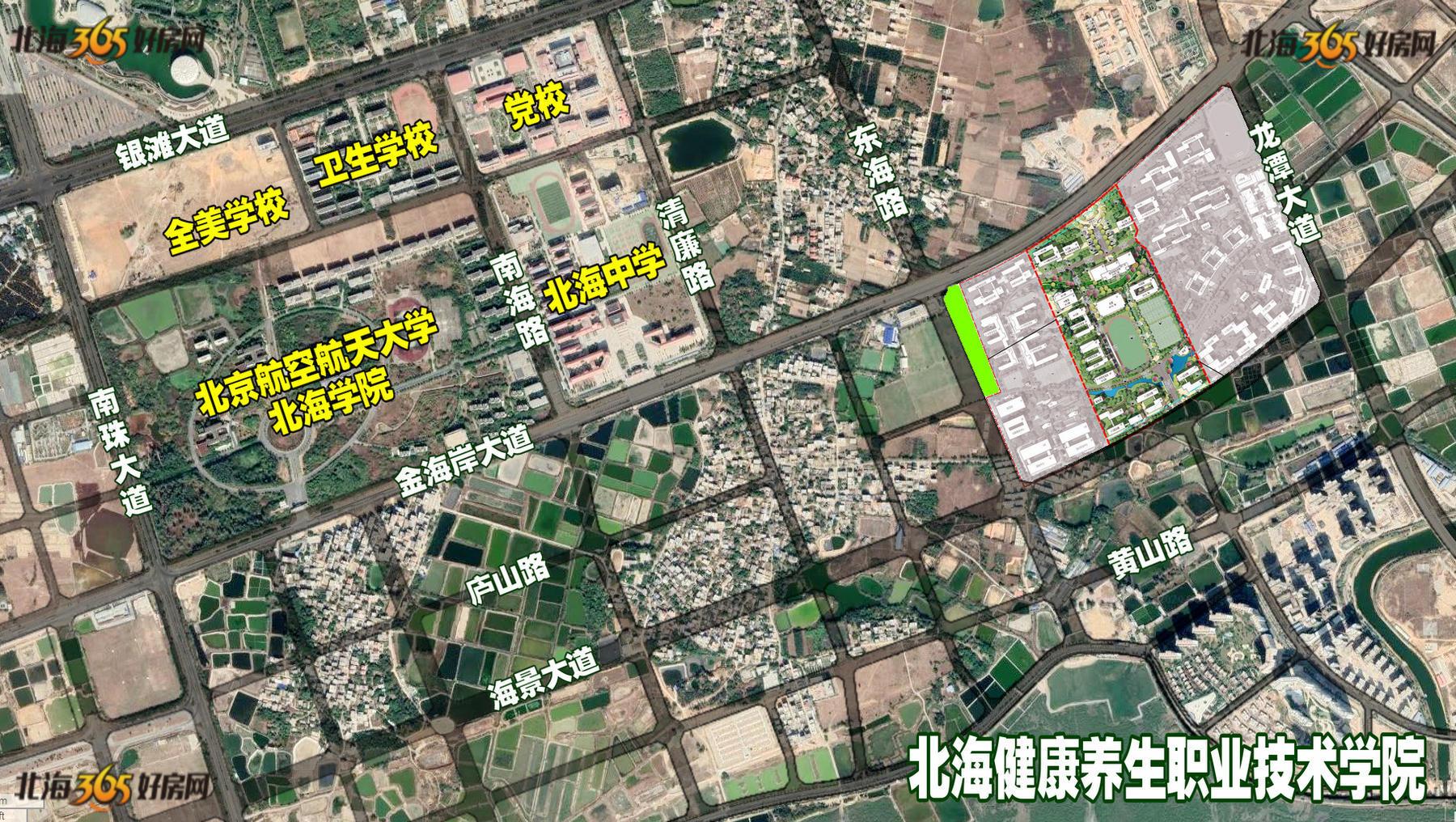 龙潭区医疗保障局最新招聘信息全面解析