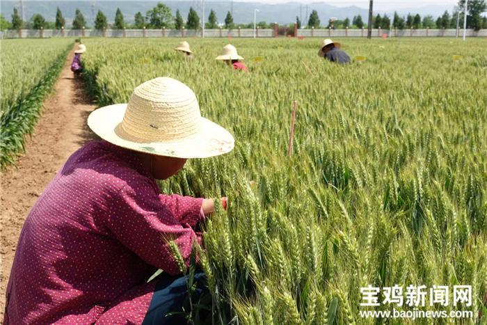 李家堡乡最新天气预报通知